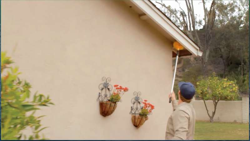 General Pest Control General Pest Control